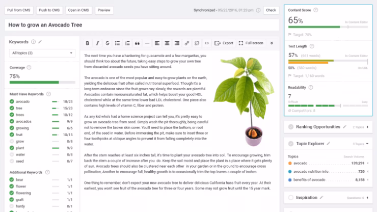 Searchmetrics Content Experience