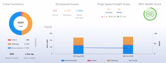 Raven tools Site Auditor