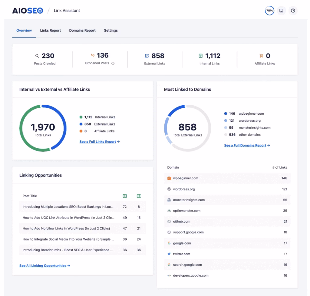 AIOSEO internal and external linking metrics