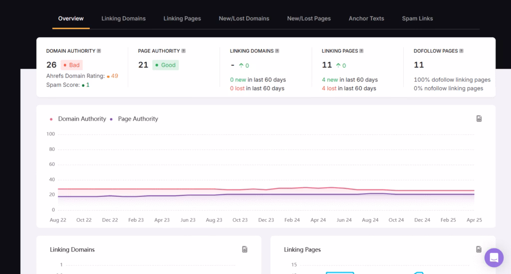 Backlink overview for SEO analysis