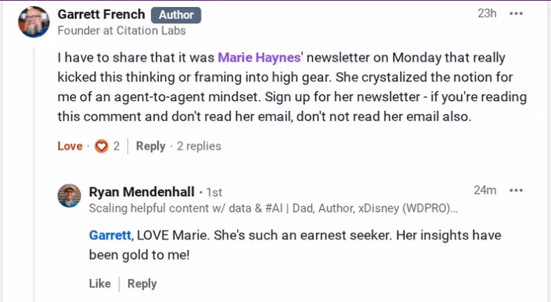 marie haynes newsletter review 1