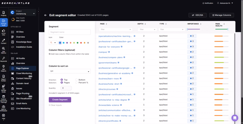 Search Atlas site audit page explorer segment