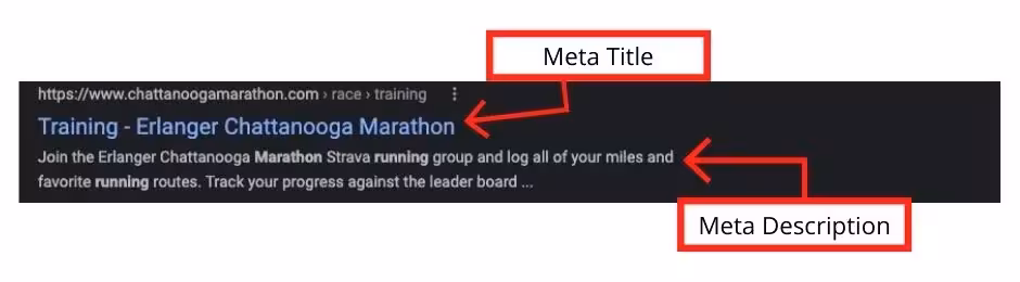 screenshot showing mets tags on a training search result